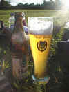 Bier.jpg (44981 Byte)